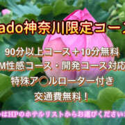 ヒメ日記 2025/03/26 10:40 投稿 Sado(サド) THE SECRET 五反田メスイキ研究所