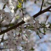 ヒメ日記 2025/04/11 00:05 投稿 Sado(サド) THE SECRET 五反田メスイキ研究所