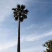 ヒメ日記 2025/05/23 22:30 投稿 Sado(サド) THE SECRET 五反田メスイキ研究所