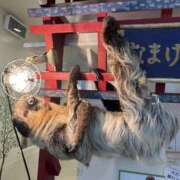 ヒメ日記 2025/06/19 13:40 投稿 Sado(サド) THE SECRET 五反田メスイキ研究所