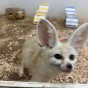 ヒメ日記 2025/06/19 14:32 投稿 Sado(サド) THE SECRET 五反田メスイキ研究所