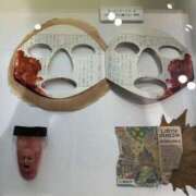 ヒメ日記 2025/06/21 20:10 投稿 Sado(サド) THE SECRET 五反田メスイキ研究所