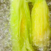 ヒメ日記 2025/06/28 00:51 投稿 Sado(サド) THE SECRET 五反田メスイキ研究所