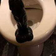 ヒメ日記 2026/01/22 21:46 投稿 Sado(サド) THE SECRET 五反田メスイキ研究所