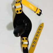 ヒメ日記 2026/04/24 22:31 投稿 Sado(サド) THE SECRET 五反田メスイキ研究所