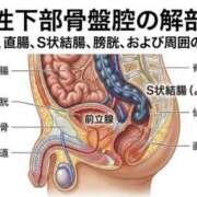 ヒメ日記 2026/06/27 11:22 投稿 Sado(サド) THE SECRET 五反田メスイキ研究所
