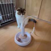 ヒメ日記 2026/05/28 21:25 投稿 あかり PRIME