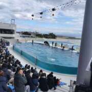 ヒメ日記 2025/02/12 18:22 投稿 ふみの 奥鉄オクテツ大阪