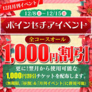 ヒメ日記 2024/12/12 17:14 投稿 熟女 いずみ ハナミズキ