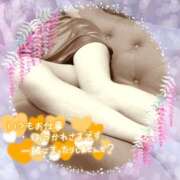 ヒメ日記 2025/05/15 17:18 投稿 熟女 いずみ ハナミズキ