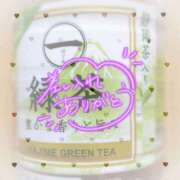 ヒメ日記 2025/06/17 17:22 投稿 熟女 いずみ ハナミズキ