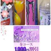 ヒメ日記 2025/07/10 17:24 投稿 熟女 いずみ ハナミズキ