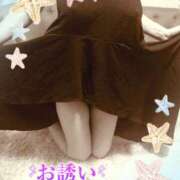 ヒメ日記 2025/07/22 17:40 投稿 熟女 いずみ ハナミズキ