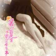 ヒメ日記 2025/07/24 17:20 投稿 熟女 いずみ ハナミズキ