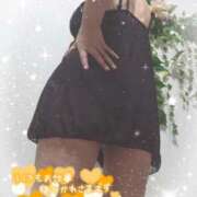 ヒメ日記 2025/07/31 17:22 投稿 熟女 いずみ ハナミズキ