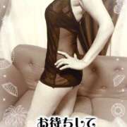 ヒメ日記 2025/08/05 18:00 投稿 熟女 いずみ ハナミズキ