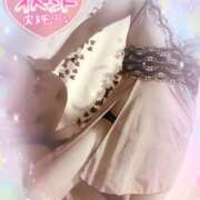 ヒメ日記 2025/08/19 17:20 投稿 熟女 いずみ ハナミズキ