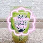 ヒメ日記 2025/08/20 17:28 投稿 熟女 いずみ ハナミズキ