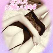 ヒメ日記 2025/09/02 17:22 投稿 熟女 いずみ ハナミズキ