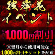 ヒメ日記 2025/09/25 17:28 投稿 熟女 いずみ ハナミズキ