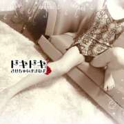 ヒメ日記 2025/10/07 18:04 投稿 熟女 いずみ ハナミズキ