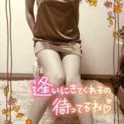 ヒメ日記 2025/10/28 17:56 投稿 熟女 いずみ ハナミズキ