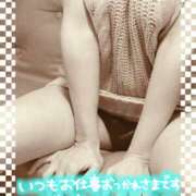 ヒメ日記 2025/10/30 17:56 投稿 熟女 いずみ ハナミズキ