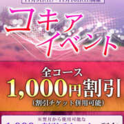 ヒメ日記 2025/11/11 17:26 投稿 熟女 いずみ ハナミズキ