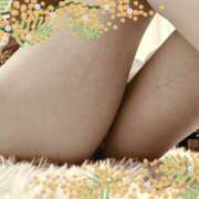 ヒメ日記 2025/11/26 17:22 投稿 熟女 いずみ ハナミズキ