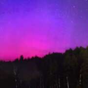 ヒメ日記 2026/01/12 08:35 投稿 鮎川 おふくろ