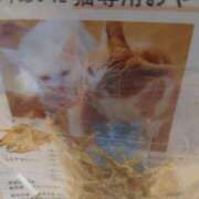 ヒメ日記 2026/04/06 07:36 投稿 鮎川 おふくろ