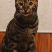 鮎川 お友達 おふくろ