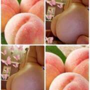 ヒメ日記 2025/02/06 14:01 投稿 つき 即アポマダム～名古屋店～