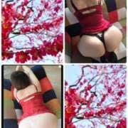 ヒメ日記 2025/03/13 23:17 投稿 つき 即アポマダム～名古屋店～