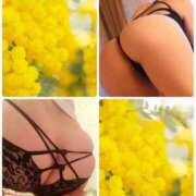 ヒメ日記 2025/03/15 00:41 投稿 つき 即アポマダム～名古屋店～