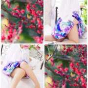 ヒメ日記 2025/03/26 11:21 投稿 つき 即アポマダム～名古屋店～