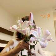 ヒメ日記 2025/04/15 09:37 投稿 つき 即アポマダム～名古屋店～