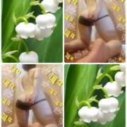 ヒメ日記 2025/05/03 18:21 投稿 つき 即アポマダム～名古屋店～