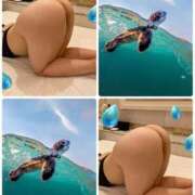 ヒメ日記 2026/01/18 12:31 投稿 つき 即アポマダム～名古屋店～