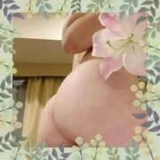 ヒメ日記 2026/01/21 08:01 投稿 つき 即アポマダム～名古屋店～