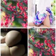 ヒメ日記 2025/03/26 18:31 投稿 つき 即アポ奥さん〜名古屋店〜