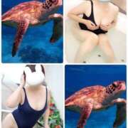 ヒメ日記 2025/07/22 10:21 投稿 つき 即アポ奥さん〜名古屋店〜