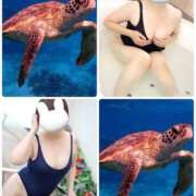 ヒメ日記 2026/03/29 13:31 投稿 つき 即アポ奥さん〜名古屋店〜