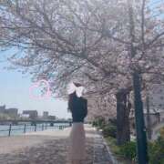 ヒメ日記 2025/04/08 17:15 投稿 君美-なおみ- 淫らなオンナ性体師･･･そして曖昧なひと時(本格派オイル性感マッサージ)