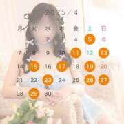 ヒメ日記 2025/03/23 19:05 投稿 ゆいな コルドンブルー