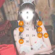 ヒメ日記 2026/03/17 11:25 投稿 ゆいな コルドンブルー