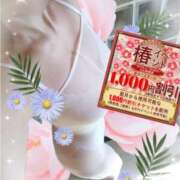 ヒメ日記 2025/01/18 12:10 投稿 熟女 かすみ ハナミズキ