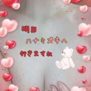 ヒメ日記 2025/01/31 21:12 投稿 熟女 かすみ ハナミズキ