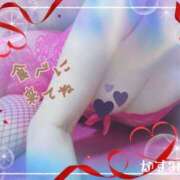 ヒメ日記 2025/02/14 12:22 投稿 熟女 かすみ ハナミズキ