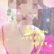 ヒメ日記 2025/02/21 22:24 投稿 熟女 かすみ ハナミズキ